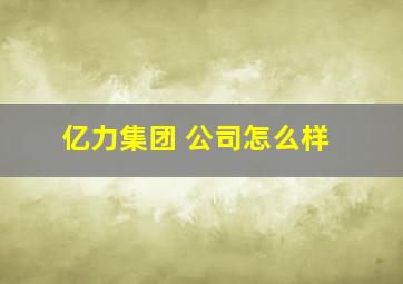 亿力集团 公司怎么样